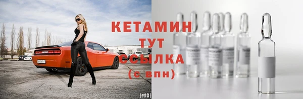 индика Каменногорск