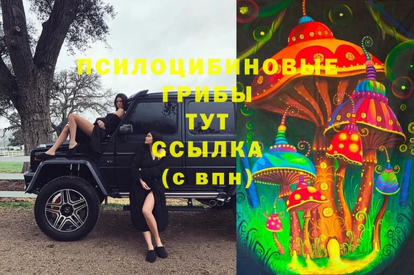 Альфа ПВП Медвежьегорск