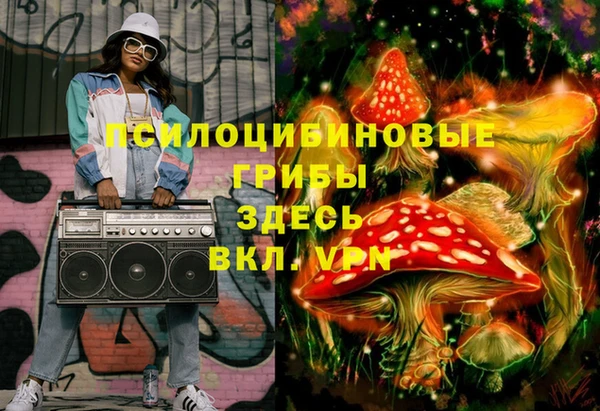 стаф Мегион