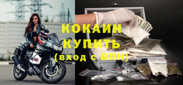 стаф Мегион