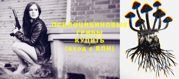 стаф Мегион