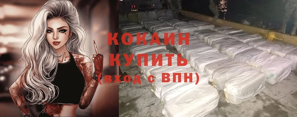 стаф Мегион