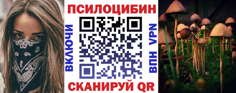 Галлюциногенные грибы Psilocybine cubensis  мега tor  Дятьково 