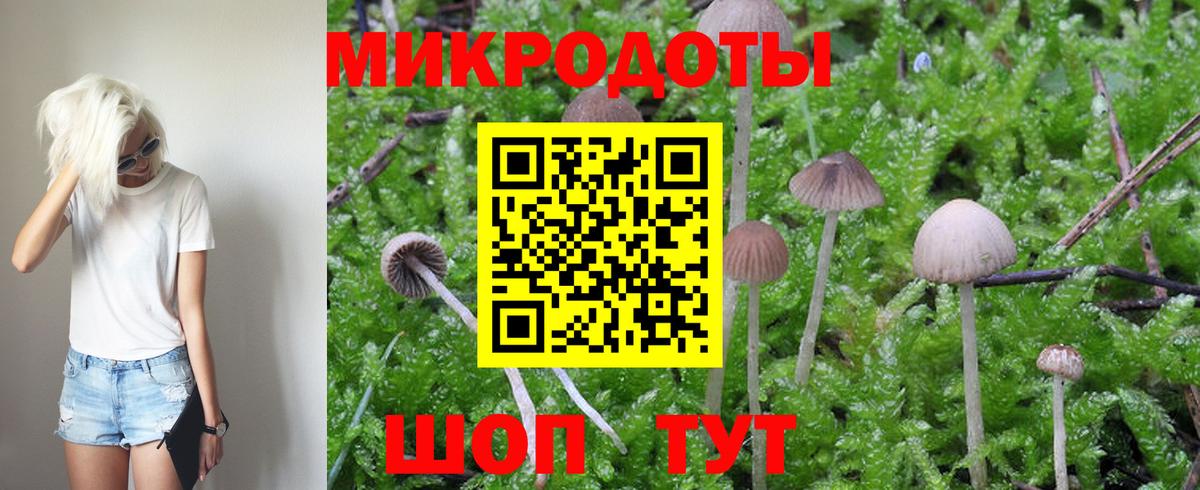 Галлюциногенные грибы MAGIC MUSHROOMS Дятьково