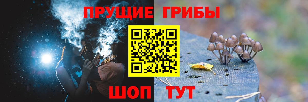 Дятьково  как найти закладки  Вход с VPN  Псилоцибиновые грибы мицелий 